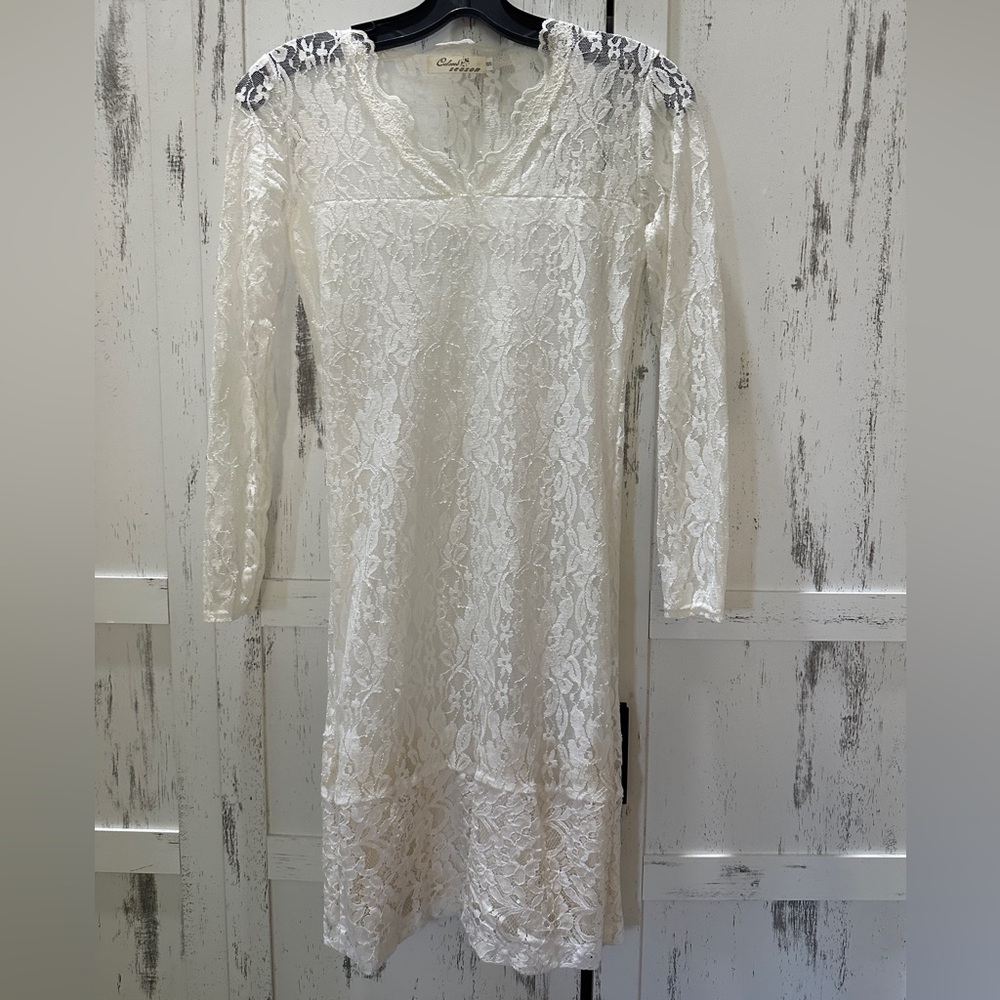 Thin fabric lace dress with attached slip